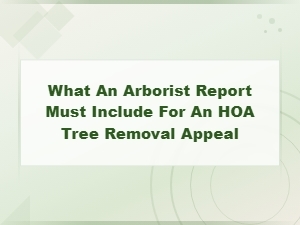 Essential Elements of an Arborist Report for Hoa Appeals