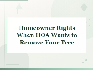 Your Rights When an Hoa Wants to Remove Your Tree
