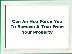 Can an Hoa Force You to Remove a Tree