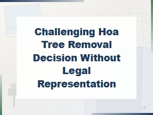 How to Challenge an Hoa Tree Removal Decision