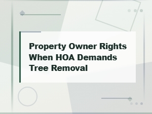 Your Rights When Hoa Demands Tree Removal